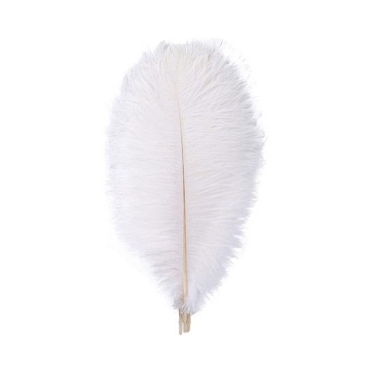 Ostrich feathers