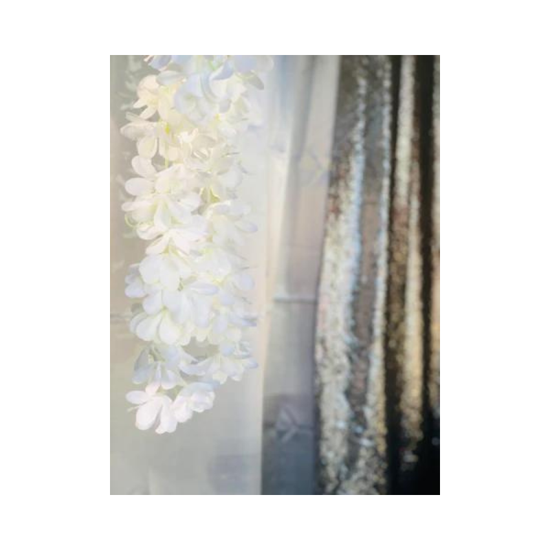 Wisteria