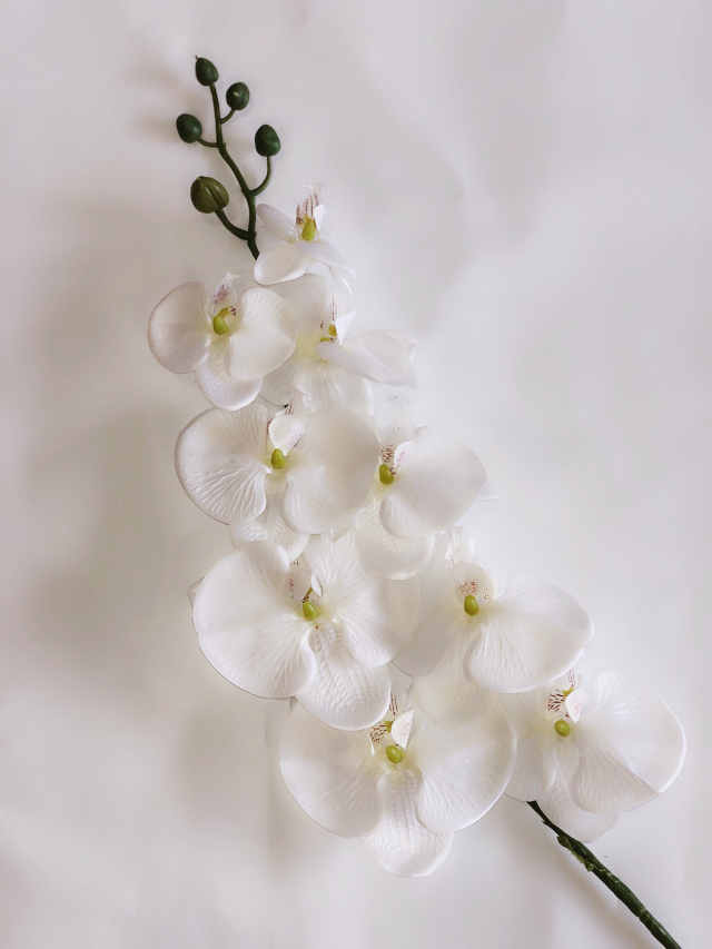 Orchid Silk Flowers - White image